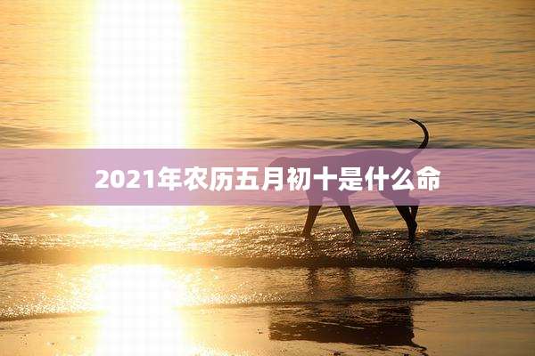 2021年农历五月初十是什么命