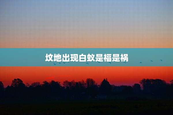 坟地出现白蚁是福是祸