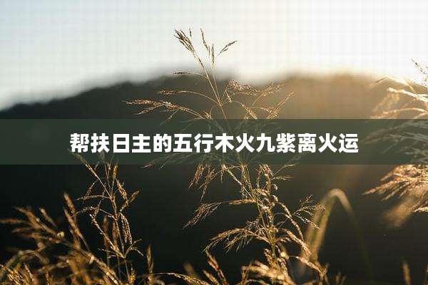 帮扶日主的五行木火九紫离火运