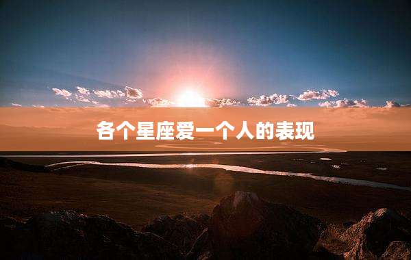 各个星座爱一个人的表现