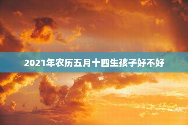2021年农历五月十四生孩子好不好