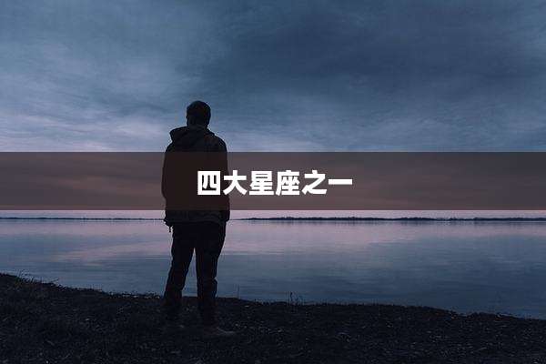 四大星座之一