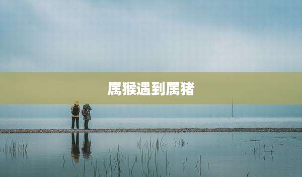 属猴遇到属猪