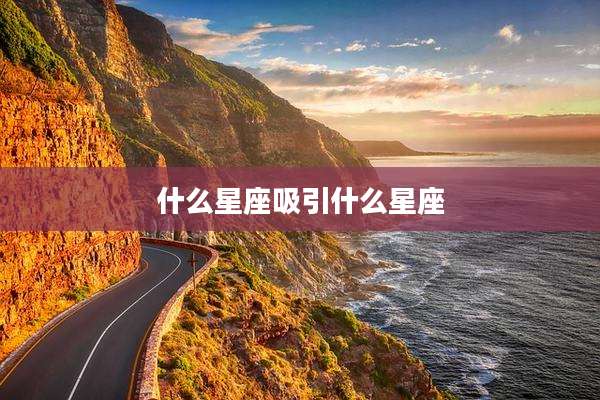 什么星座吸引什么星座