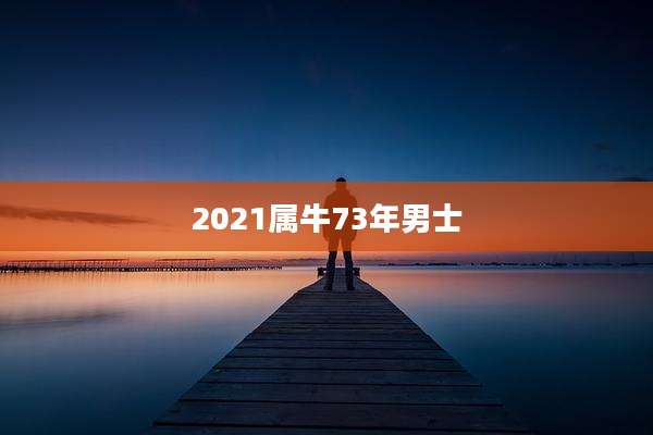 2021属牛73年男士