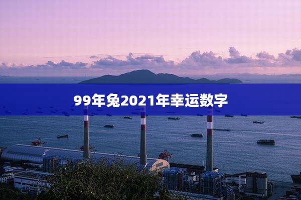 99年兔2021年幸运数字