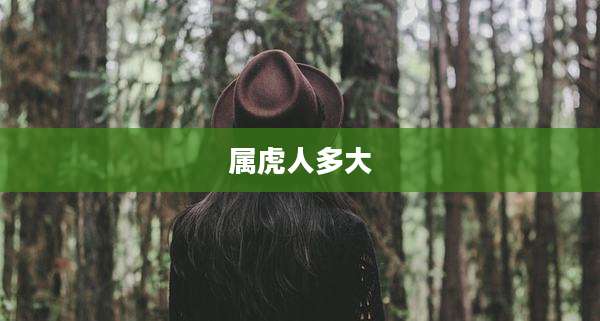 属虎人多大