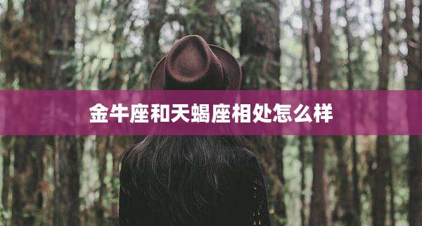 金牛座和天蝎座相处怎么样
