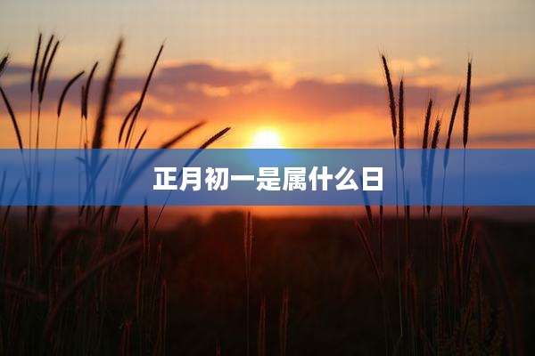 正月初一是属什么日