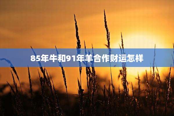 85年牛和91年羊合作财运怎样