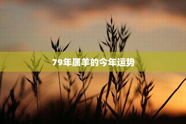 79年属羊的今年运势