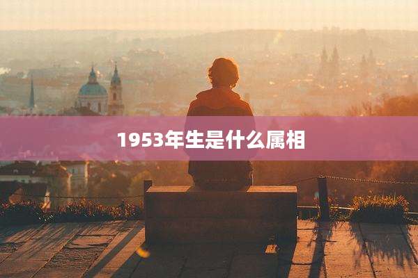 1953年生是什么属相