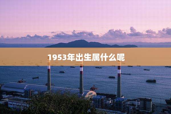 1953年出生属什么呢