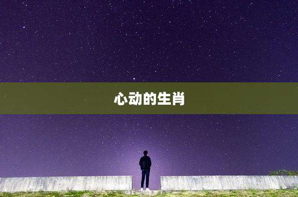 心动的生肖