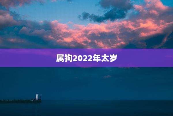 属狗2022年太岁
