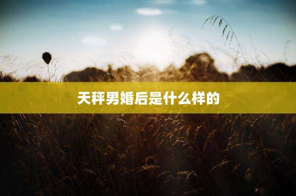 天秤男婚后是什么样的