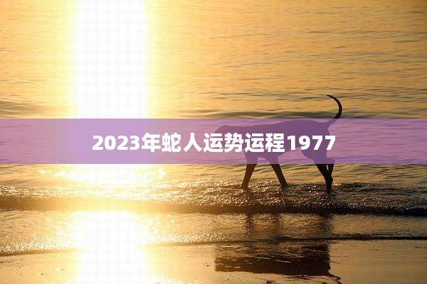 2023年蛇人运势运程1977