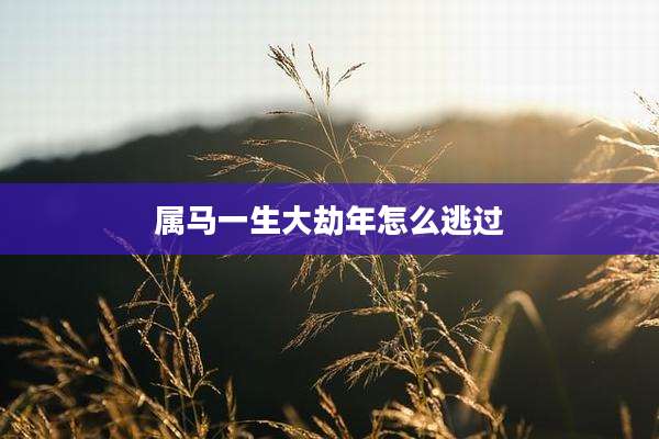 属马一生大劫年怎么逃过