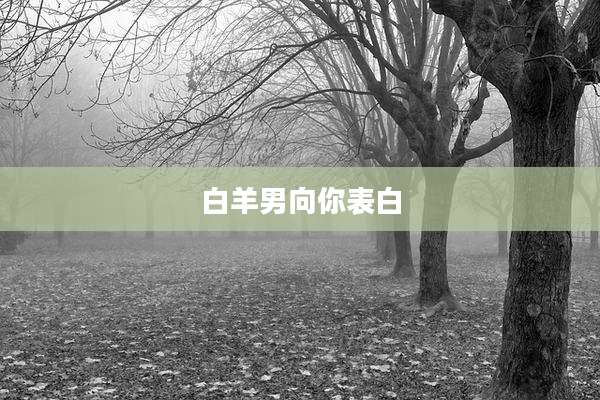 白羊男向你表白