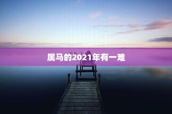 属马的2021年有一难