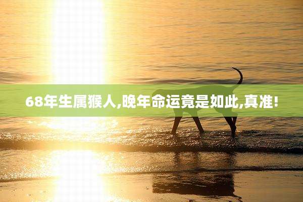 68年生属猴人,晚年命运竟是如此,真准!