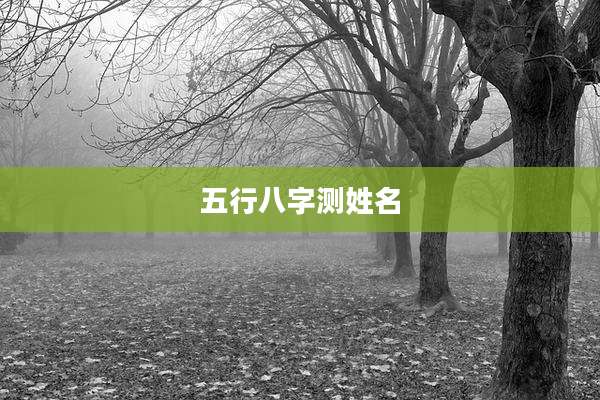 五行八字测姓名