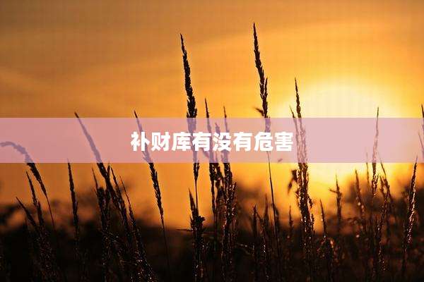 补财库有没有危害
