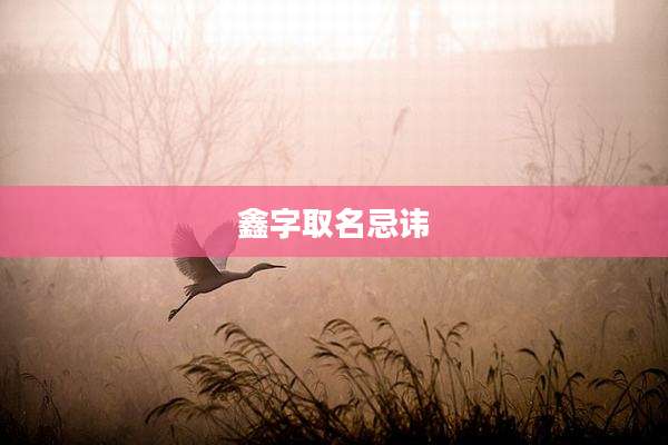 鑫字取名忌讳