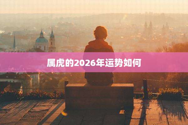 属虎的2026年运势如何