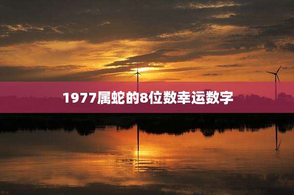1977属蛇的8位数幸运数字