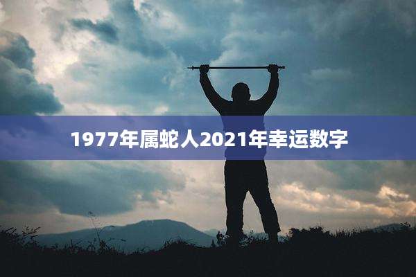 1977年属蛇人2021年幸运数字