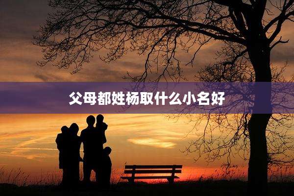 父母都姓杨取什么小名好