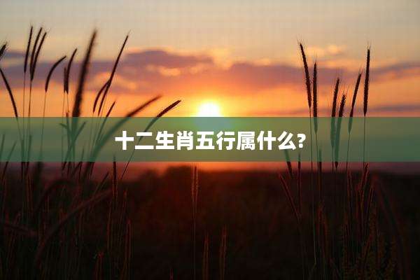 十二生肖五行属什么?
