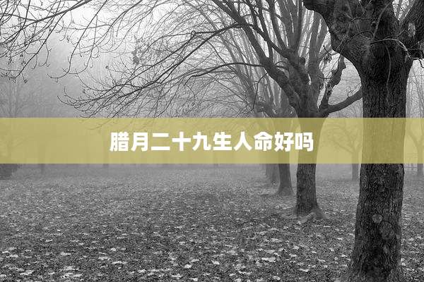 腊月二十九生人命好吗