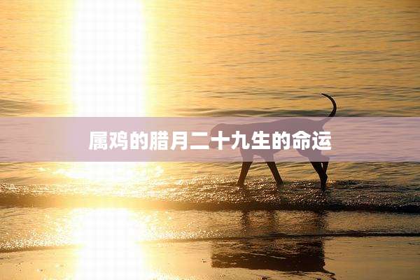属鸡的腊月二十九生的命运