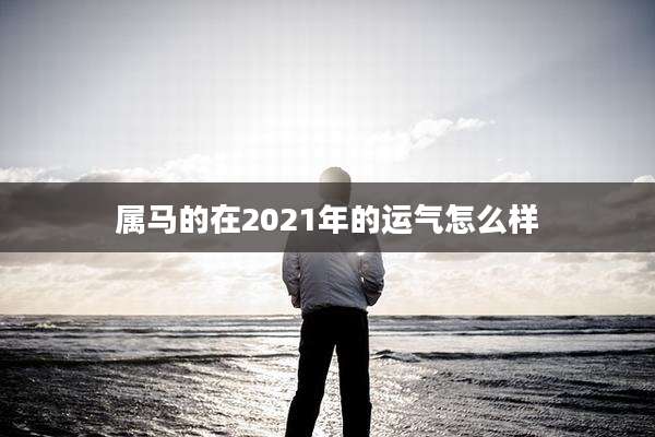 属马的在2021年的运气怎么样