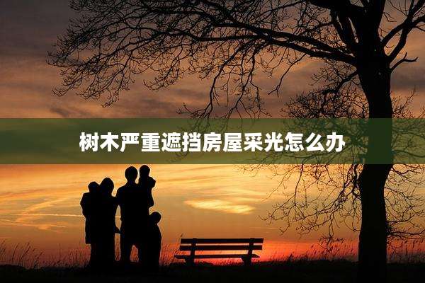 树木严重遮挡房屋采光怎么办