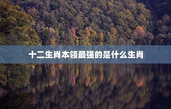 十二生肖本领最强的是什么生肖