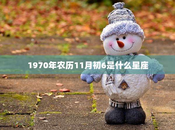 1970年农历11月初6是什么星座