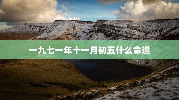 一九七一年十一月初五什么命运