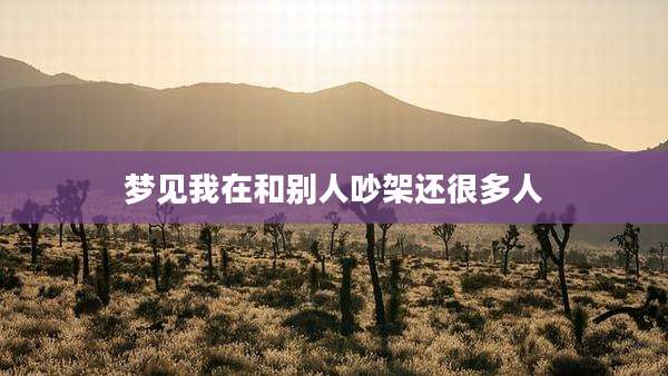 梦见我在和别人吵架还很多人
