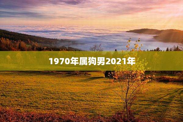 1970年属狗男2021年