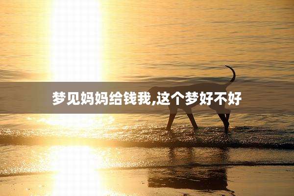 梦见妈妈给钱我,这个梦好不好