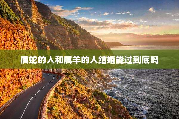 属蛇的人和属羊的人结婚能过到底吗
