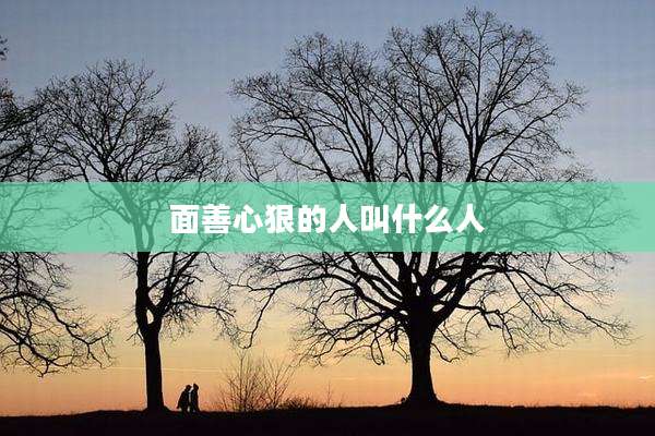 面善心狠的人叫什么人