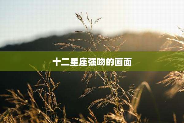 十二星座强吻的画面