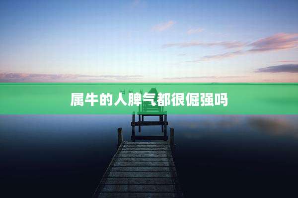 属牛的人脾气都很倔强吗