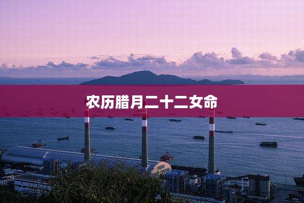 农历腊月二十二女命