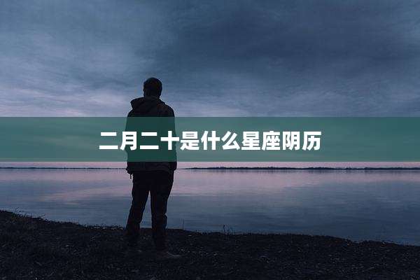 二月二十是什么星座阴历