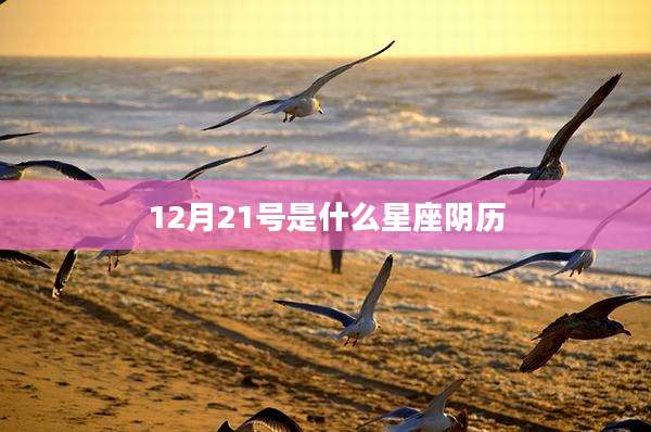 12月21号是什么星座阴历